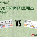 소쿠리파리