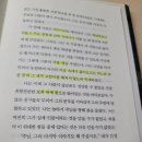 안젤로 빈 이미지