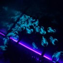 유아과학 이미지