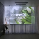 정펜션민박 | 경주감포숙소 바다 바로 앞 감포포차거리숙소 감포독채펜션 해나정