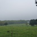 성산오름공인중개사사무소 이미지