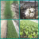 성림농장 이미지