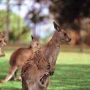 다나산후조리원 이미지