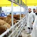 강화축산 이미지