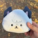 학가이 | 251122 엑디즈 뷰마 중콘 다녀온 후기