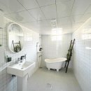 거슬러 오른집 이미지