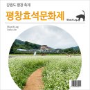 (주)빈트 | 강원도 평창 축제 : 평창효석문화제