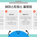 짐킬러웨일 | [공지] 헬린이에게도 최고인 해머스트렝스 – 동남지구 헬스장 ‘짐킬러웨일’에서 경험하세요!