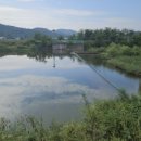 광탄체육공원 축구장 이미지