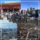 향로복개로 72-1 | (3박4일) 운이네 3월 일본 도쿄 가족여행 : 2일차 아사쿠사 센소지, 아사히 스카이룸, 도쿄 스카이트리