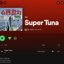 인기참치 이미지