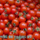 풍미농장 이미지