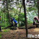 노고산 등산로 이미지