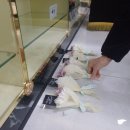 이담장례 이미지