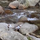 포레스트리 | 신상 원주 글램핑장 포레스트리 후기