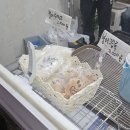 모래내시장 [무지개 붕어빵] 내돈내산 솔직후기