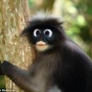 눈그린안경 이미지