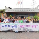 세지화탑마을 이미지