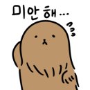 토끼와거북이2 네이버블로그