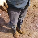 금문농장2 이미지