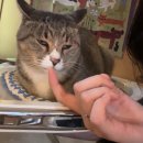 롯데쇼핑(주)롯데마트 광주점 | 서울광주목포광주서울