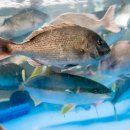 모슬포 포구민박 이미지