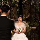 (유)제일투어 이미지