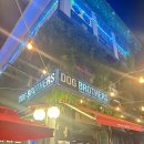 디어도그 | 수성못 도그브라더스 후기｜야외테라스+반려견 OK 맥주집 추천!