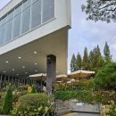 자유로 베이커리 | [파주시 탄현] 다양한 식물들과 멋진 뷰를 즐길수 있는 대형 베이커리 카페 문지리535, 내돈내산 솔직 후기