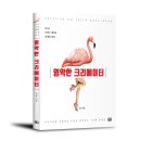 호디자인 이미지
