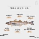 장터진땡이 이미지