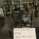 테크노짐 디클라인 벤치(봉, 원판 제외) 판매합니다-자마이카 피트니스 센터(부천점) 이미지