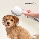 대림애견 이미지