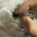 양주 온 동물병원 이미지