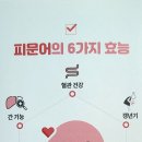 어니스트 허브 이미지