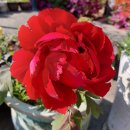 예스메디컬 이미지