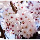 향촌소공원 이미지