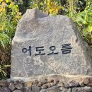 [토요산행]1월 셋째 주(어도오름,과오름,고내봉) 이미지