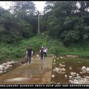 금광초등학교 이미지