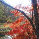 다향펜션 이미지