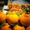 오늘은 제주 이미지