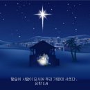 생명그리고빛 이미지