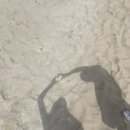 모닝비치 이미지