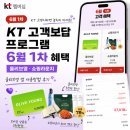 KT 고객보답 프로그램 6월 1차 혜택(올리브영, 쇼핑라운지) 올리브영 어플로 할인 방법 후기