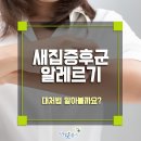 이새제주점 이미지