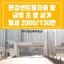 금빛초등학교 맞은편 이미지