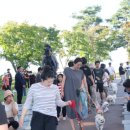 2023 청도 펫티켓 문화콘서트 이미지