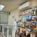 츄펫살롱 이미지