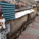 하늘다방 이미지