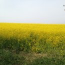 안평축산 이미지